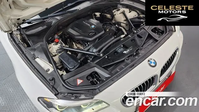 BMW Série 5 (F10) 520d M Aéro Dynamic 2016 — photo 6 sur 20