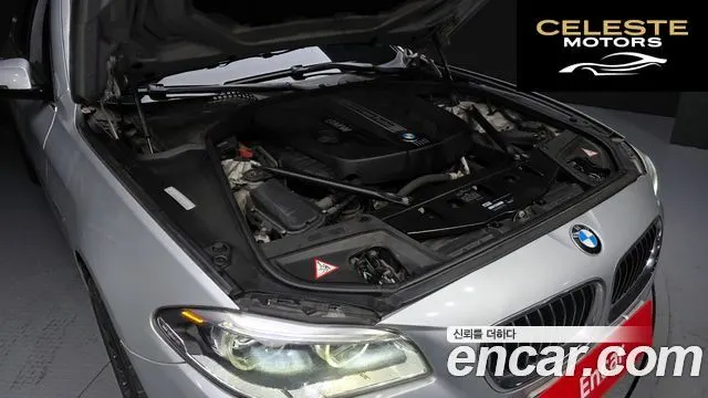 BMW Série 5 (F10) 520d xDrive Luxury 2014 — photo 6 sur 20