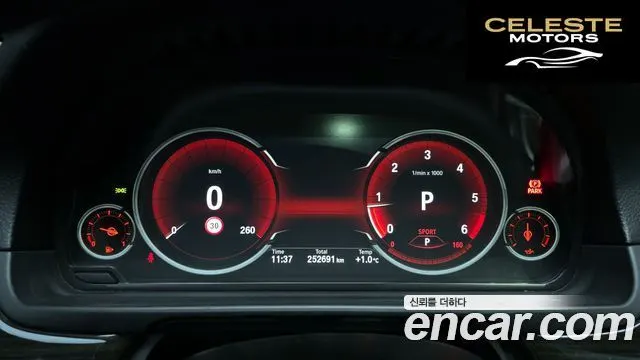 BMW Série 5 (F10) 520d xDrive Luxury 2014 — photo 8 sur 20