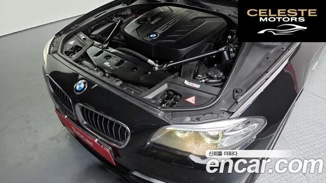 BMW Série 5 (F10) 520d xDrive 2014 — photo 6 sur 20