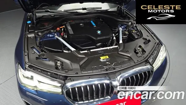 BMW Série 5 (G30) 530e Luxury 2021 — photo 6 sur 20