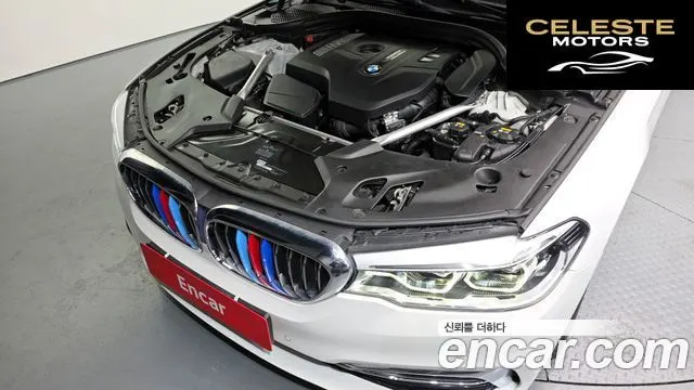 BMW Série 5 (G30) 530i xDrive Luxury Plus 2019 — photo 6 sur 20