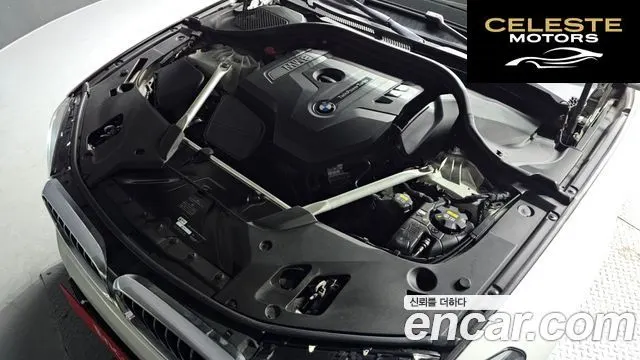 BMW Série 5 (G30) 530i Luxury Plus 2019 — photo 6 sur 20