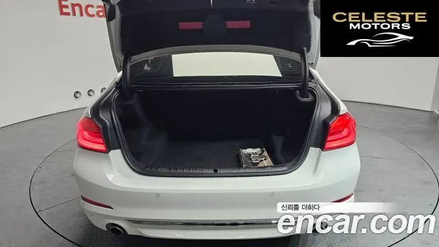 BMW Série 5 (G30) 520i Luxury 2020 — photo 20 sur 20