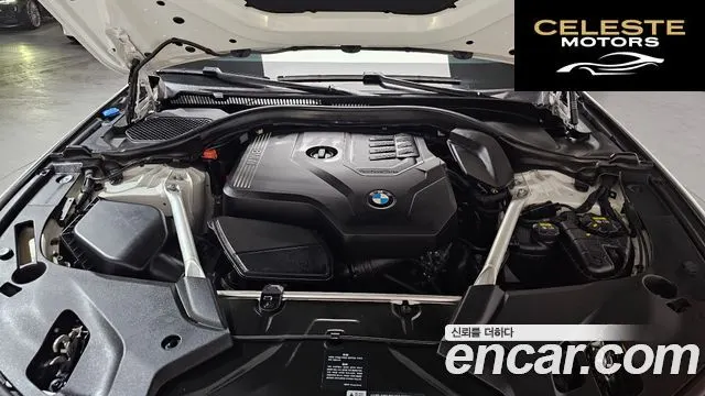 BMW Série 5 (G30) 520i Luxury 2020 — photo 6 sur 20