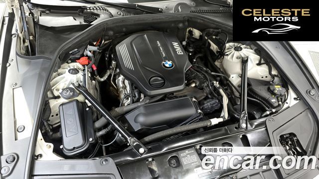 BMW Série 5 (F10) 520d xDrive M Aéro Dynamic 2016 — photo 6 sur 20