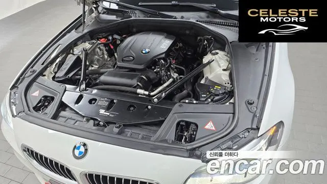 BMW Série 5 (F10) 520d xDrive M Aéro Dynamic 2016 — photo 6 sur 20
