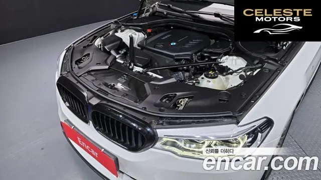 BMW Série 5 (G30) 520d M Sport 2017 — photo 6 sur 26