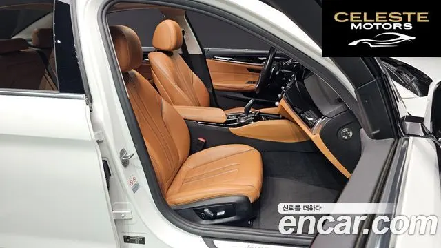 BMW Série 5 (G30) 520d Luxury Spécial Edition 2018 — photo 10 sur 20