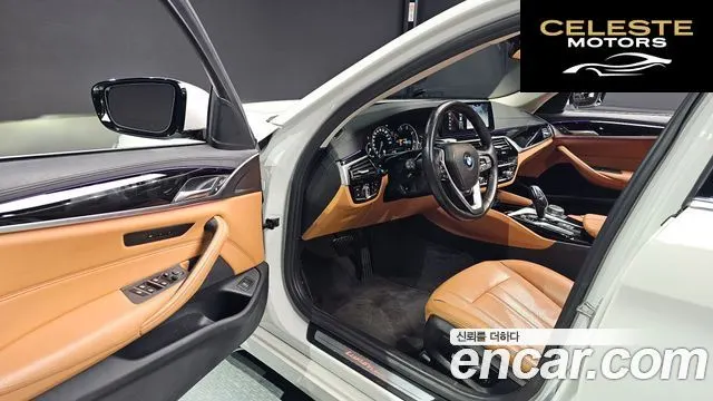 BMW Série 5 (G30) 520d Luxury Spécial Edition 2018 — photo 12 sur 20