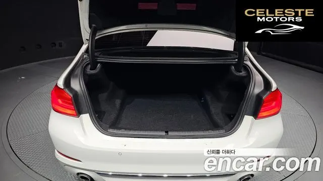 BMW Série 5 (G30) 520d Luxury Spécial Edition 2018 — photo 20 sur 20