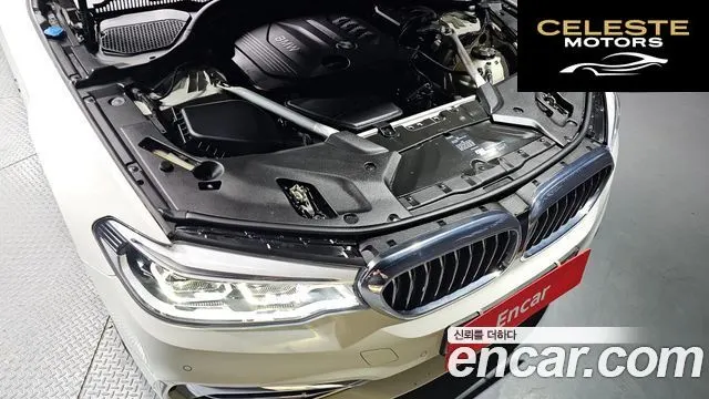 BMW Série 5 (G30) 520d Luxury Spécial Edition 2018 — photo 6 sur 20