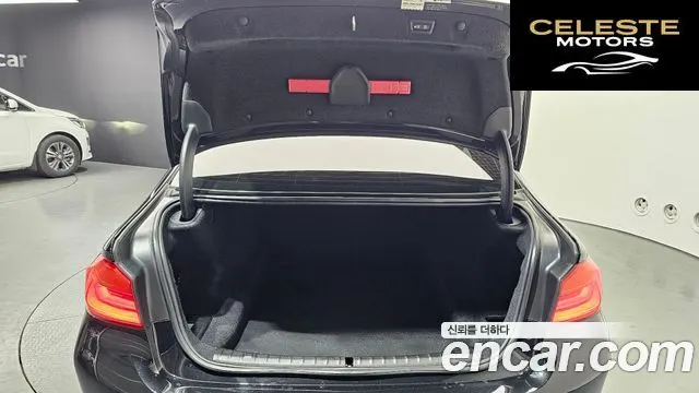 BMW Série 5 (G30) 520d Luxury Spécial Edition 2018 — photo 20 sur 20