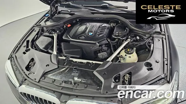 BMW Série 5 (G30) 520d Luxury Spécial Edition 2018 — photo 6 sur 20