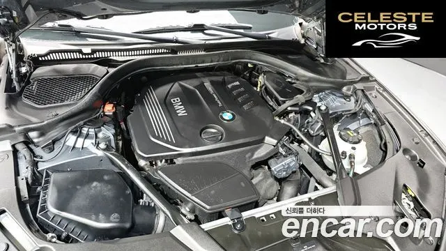 BMW Série 5 (G30) 520d xDrive M Sport Plus 2017 — photo 6 sur 26