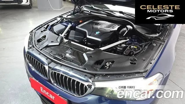 BMW Série 5 (G30) 520i Luxury 2020 — photo 6 sur 20