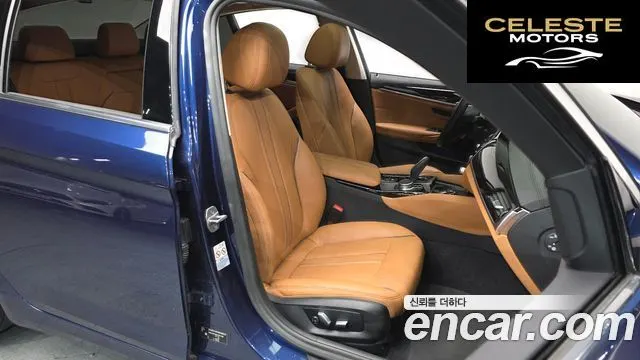 BMW Série 5 (G30) 520i Luxury 2020 — photo 12 sur 20