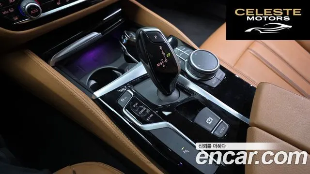 BMW Série 5 (G30) 520i Luxury 2020 — photo 9 sur 20