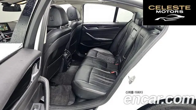 BMW Série 5 (G30) 520i Luxury 2018 — photo 12 sur 20