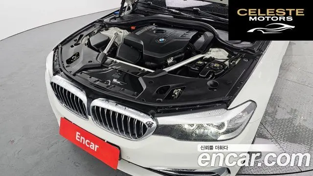 BMW Série 5 (G30) 520i Luxury 2018 — photo 6 sur 20