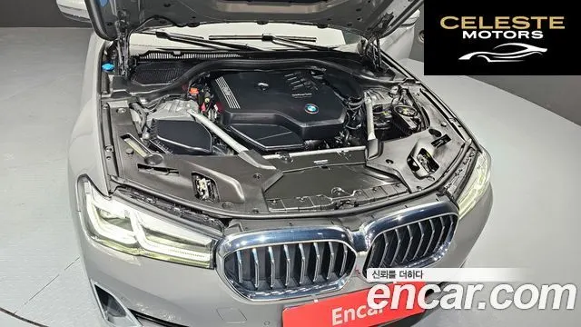 BMW Série 5 (G30) 520i Luxury 2022 — photo 6 sur 20