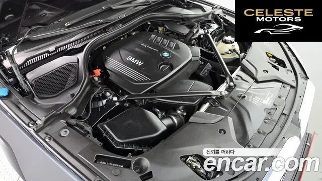 BMW Série 5 (G30) 520d M Sport Plus 2018 — photo 6 sur 20