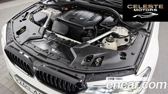 BMW Série 5 (G30) 520d xDrive M Sport Plus 2018 — photo 6 sur 20