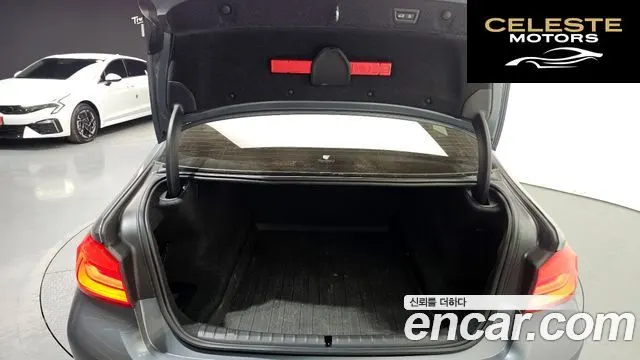 BMW Série 5 (G30) 520i Luxury 2019 — photo 19 sur 20