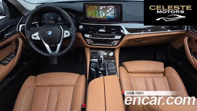 BMW Série 5 (G30) 520i Luxury 2023 — photo 7 sur 20