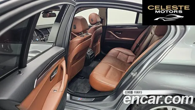 BMW Série 5 (F10) 520d M Aéro Dynamic 2016 — photo 12 sur 20