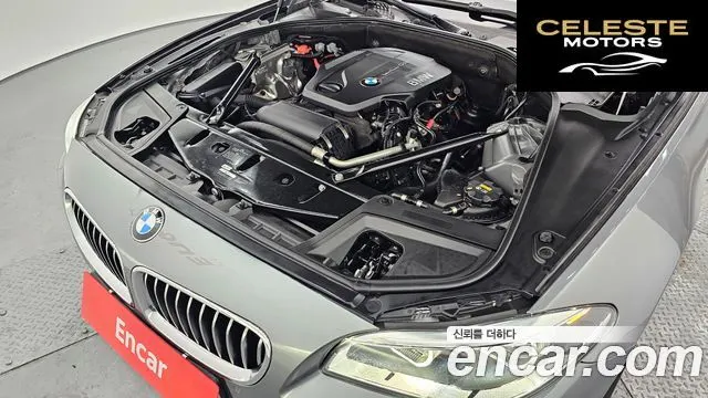 BMW Série 5 (F10) 520d M Aéro Dynamic 2016 — photo 6 sur 20