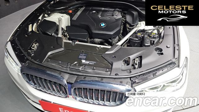 BMW Série 5 (G30) 530i xDrive Luxury Plus 2020 — photo 6 sur 20