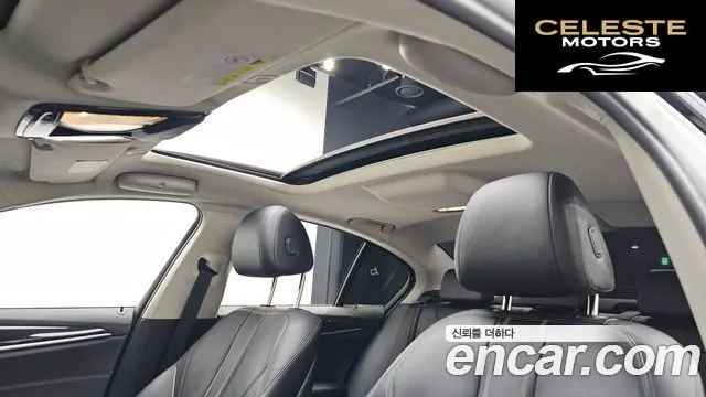 BMW Série 5 (G30) 520i Luxury 2018 — photo 19 sur 20