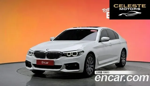 BMW Série 5 (G30) 520i Luxury 2018 — photo 20 sur 20