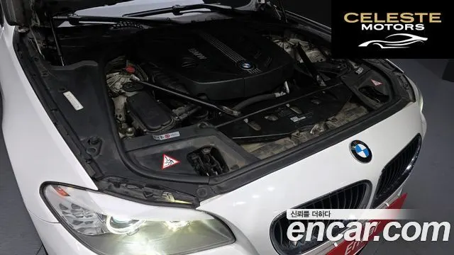 BMW Série 5 (F10) 520d 2012 — photo 6 sur 20