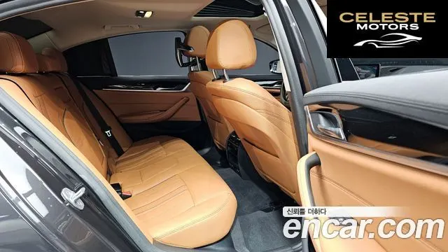 BMW Série 5 (G30) 520i Luxury 2020 — photo 11 sur 20
