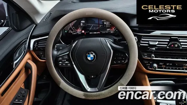 BMW Série 5 (G30) 520i Luxury 2020 — photo 13 sur 20