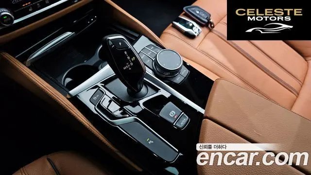 BMW Série 5 (G30) 520i Luxury 2020 — photo 9 sur 20