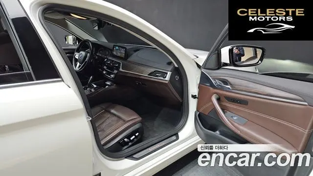 BMW Série 5 (G30) 530i xDrive Luxury Plus 2020 — photo 11 sur 20