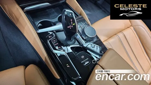 BMW Série 5 (G30) 520i Luxury 2021 — photo 8 sur 20