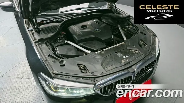 BMW Série 5 (G30) 530i xDrive Luxury Plus 2019 — photo 6 sur 20