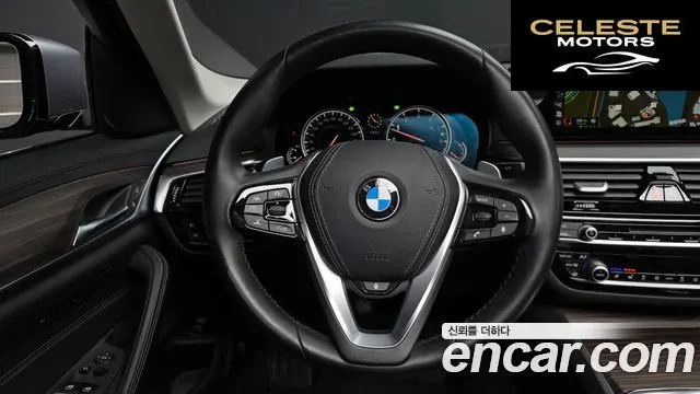 BMW Série 5 (G30) 530i xDrive Luxury Plus 2018 — photo 13 sur 20
