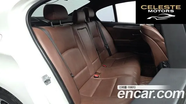 BMW Série 5 (F10) 520d M Sport 2013 — photo 12 sur 20