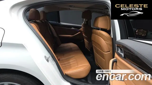 BMW Série 5 (G30) 520i Luxury 2021 — photo 12 sur 20
