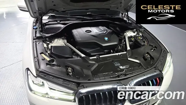 BMW Série 5 (G30) 520i Luxury 2021 — photo 6 sur 20