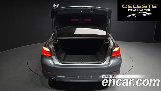 BMW Série 5 (G30) 530i xDrive Luxury Plus 2018 — photo 20 sur 20
