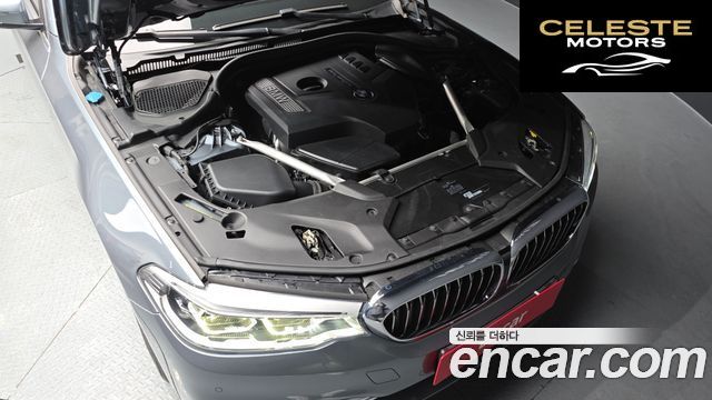 BMW Série 5 (G30) 530i xDrive Luxury Plus 2018 — photo 6 sur 20