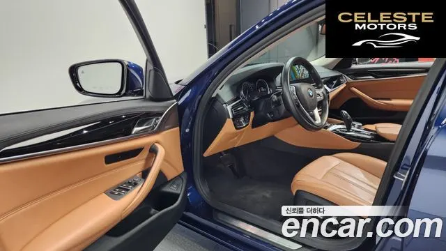 BMW Série 5 (G30) 520i Luxury 2018 — photo 10 sur 20