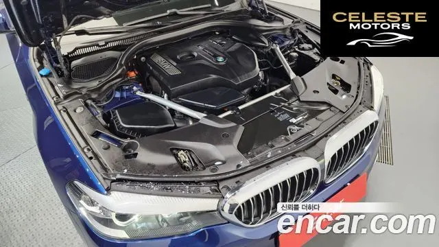 BMW Série 5 (G30) 520i Luxury 2018 — photo 6 sur 20
