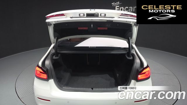 BMW Série 5 (G30) 520i Luxury 2021 — photo 20 sur 20